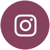 footer icon ig
